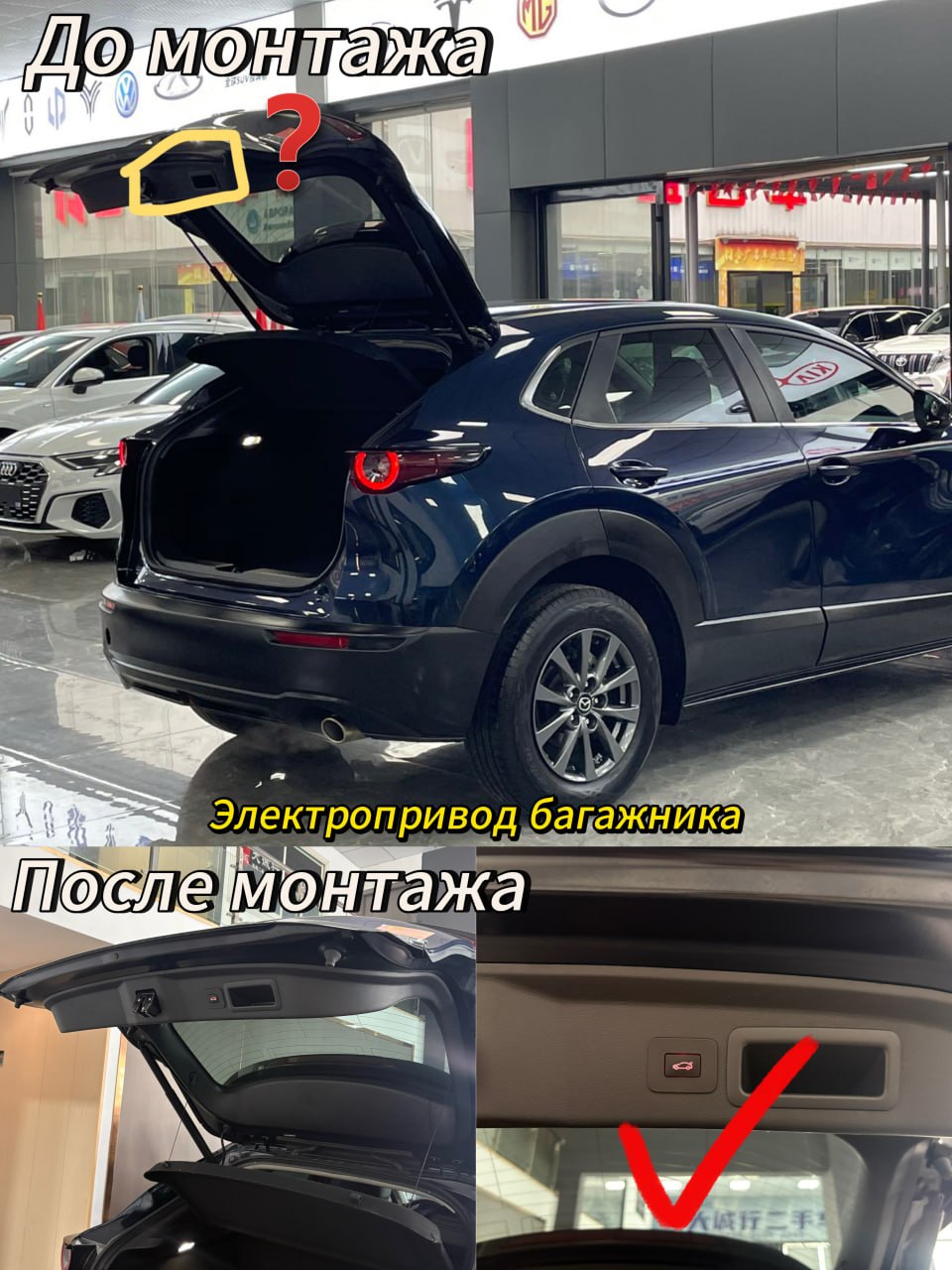 Миниатюра фото