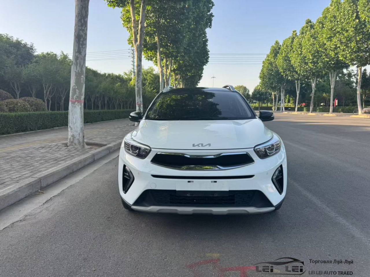 Миниатюра фото