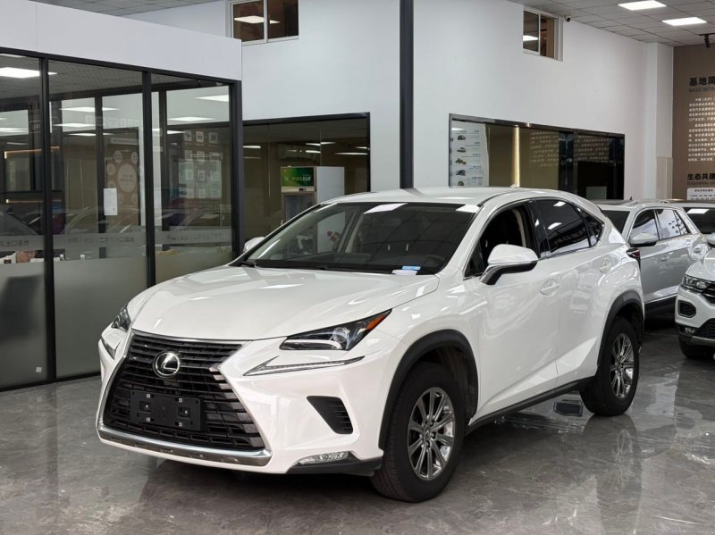 Lexus NX 2020 — фото автомобиля