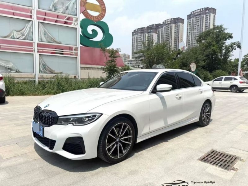 BMW 3 Series 320Li 2022