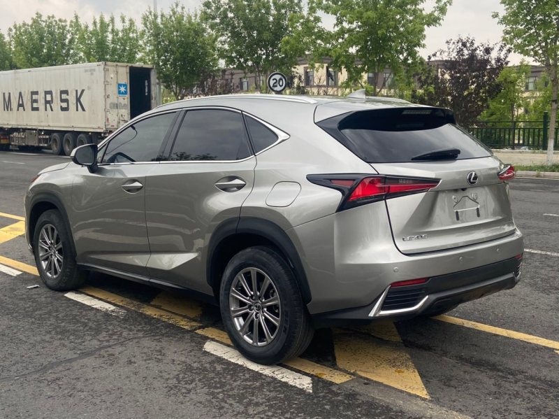 Lexus NX 2020 — фото 12