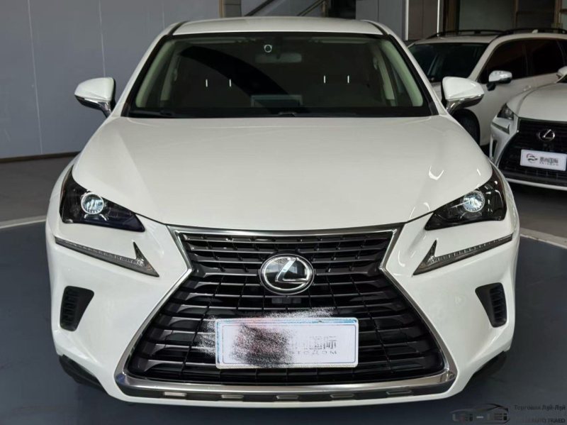 Lexus NX 2021